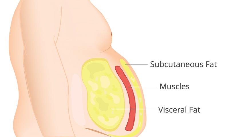 Why your beer belly isn’t just about beer