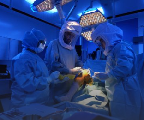 When does ​recovery start?​